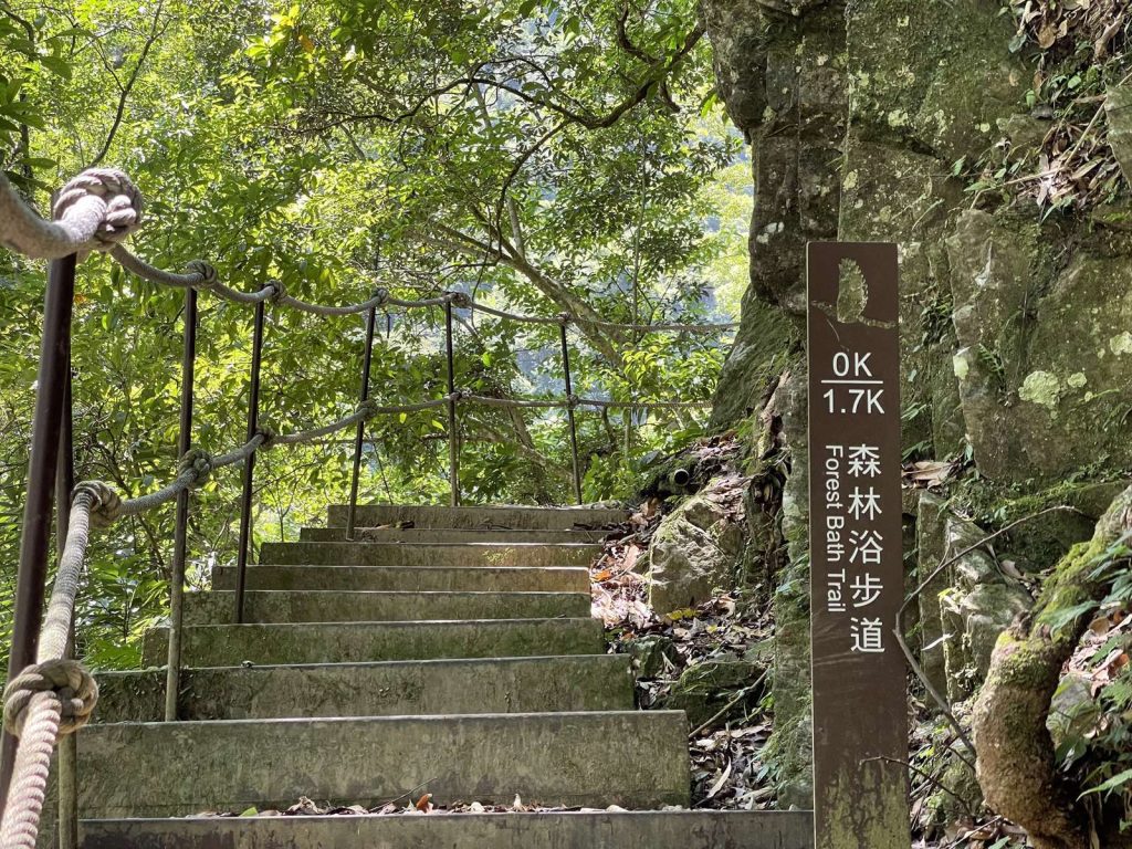 森林浴步道