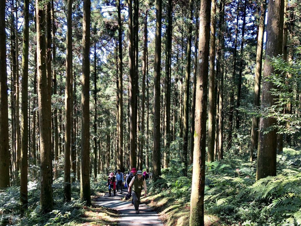 東眼 自導式步道