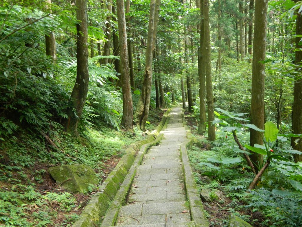 自導式 步道
