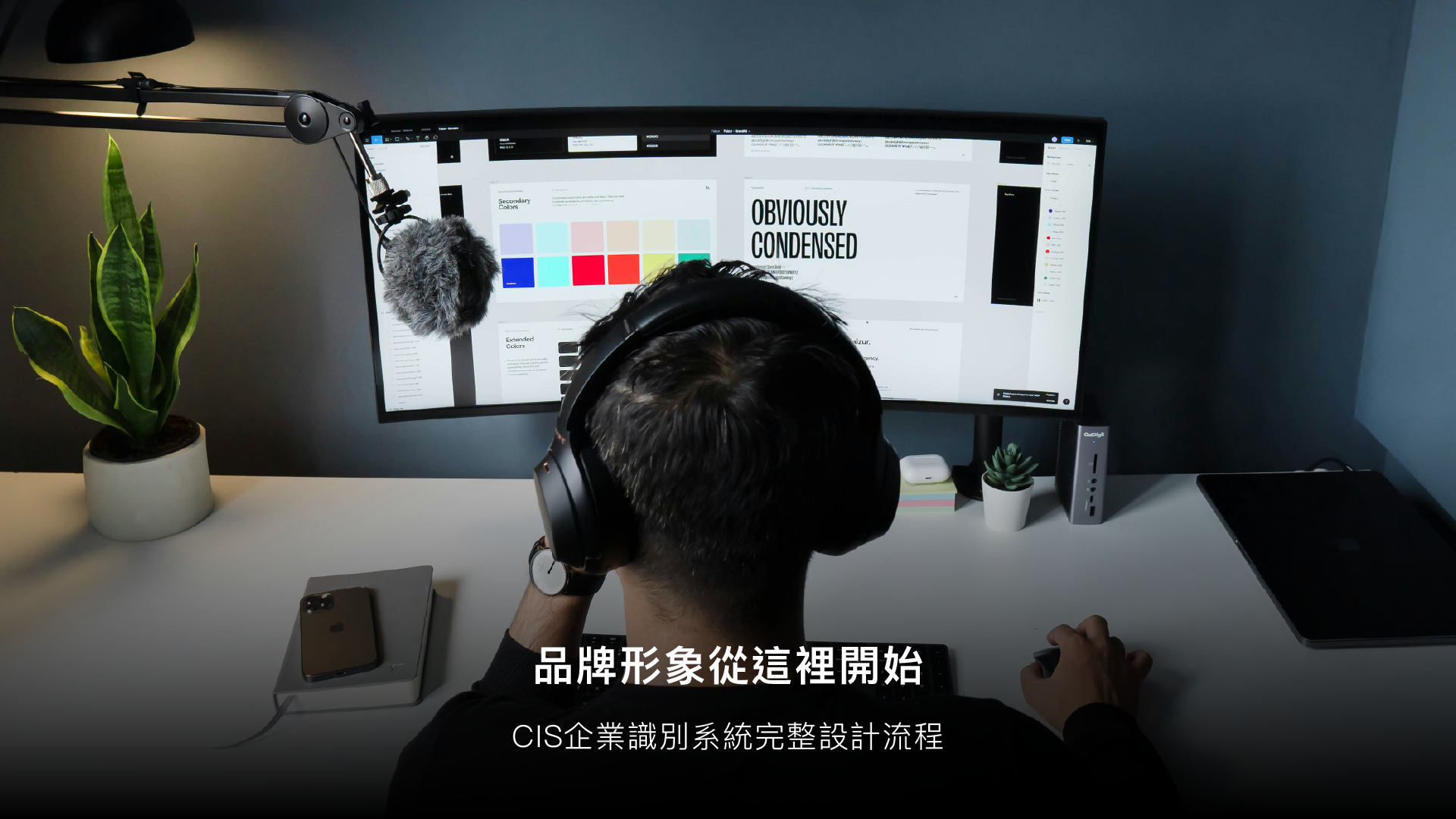 CIS企業識別系統指南
